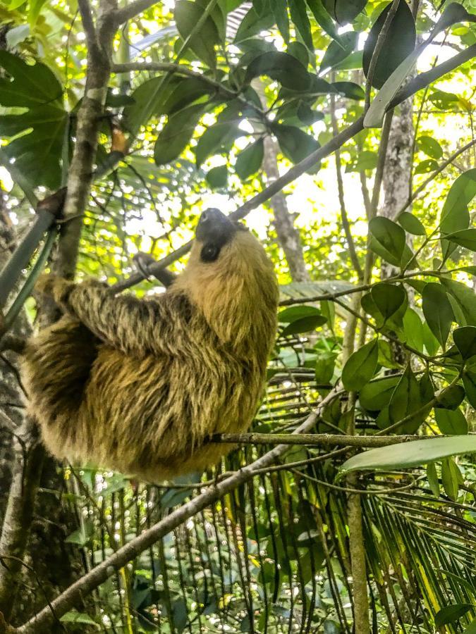 Willa Vladi Eco House Bocas del Toro Zewnętrze zdjęcie