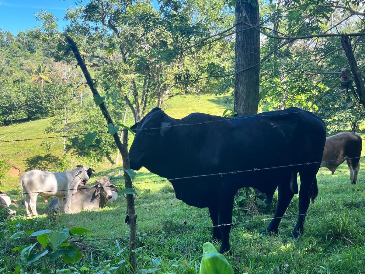 Willa Vladi Eco House Bocas del Toro Zewnętrze zdjęcie