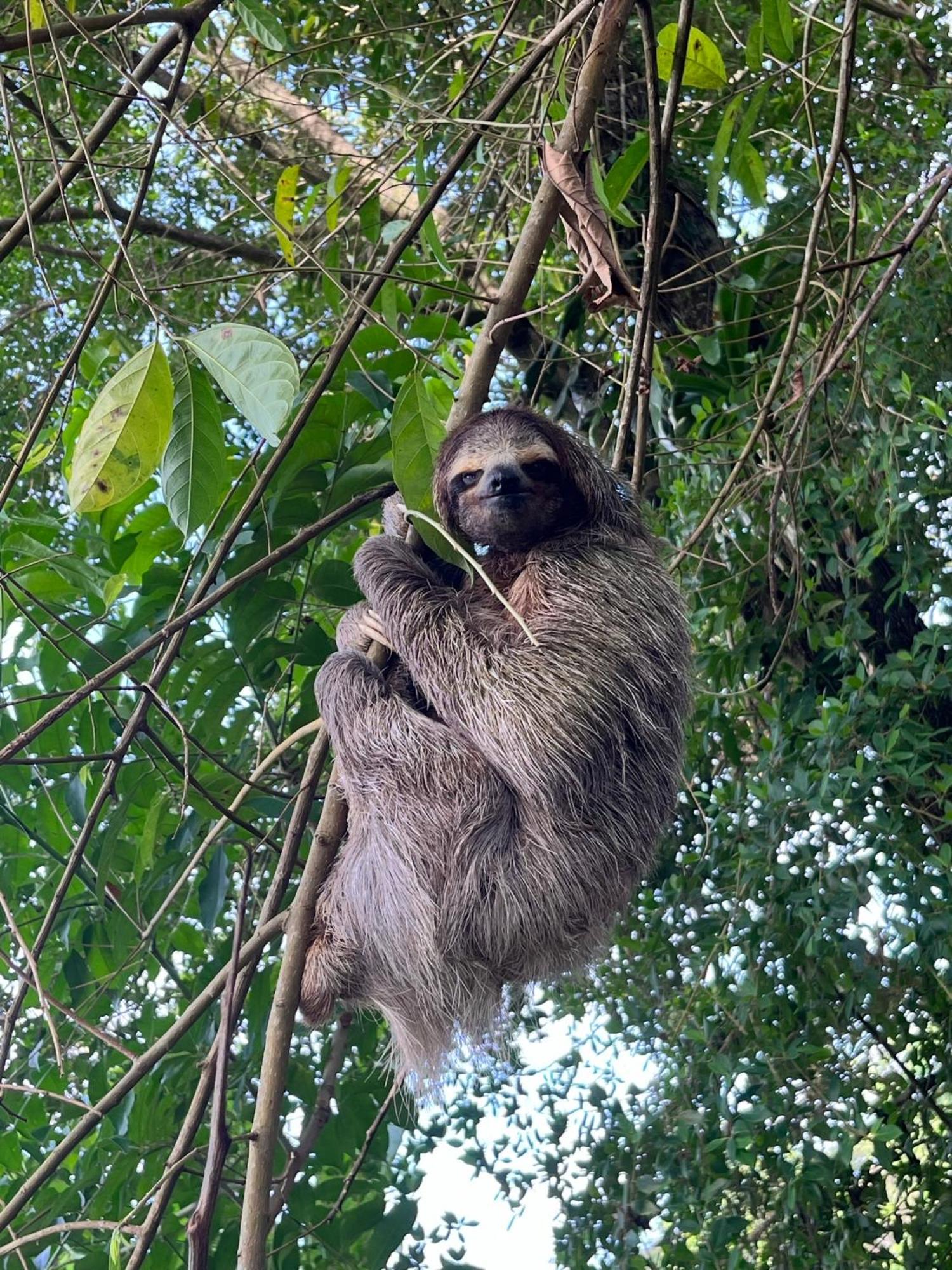 Willa Vladi Eco House Bocas del Toro Zewnętrze zdjęcie